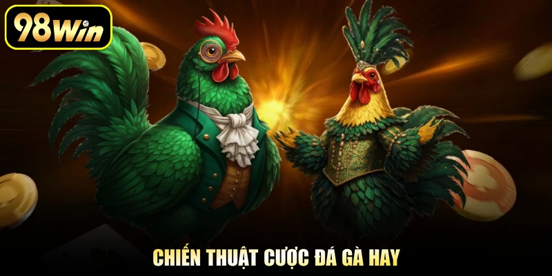 Đá Gà Cựa Dao - Khám Phá Những Trận Đấu Đầy Kịch Tính 3 Chiến thuật cược đá gà hay